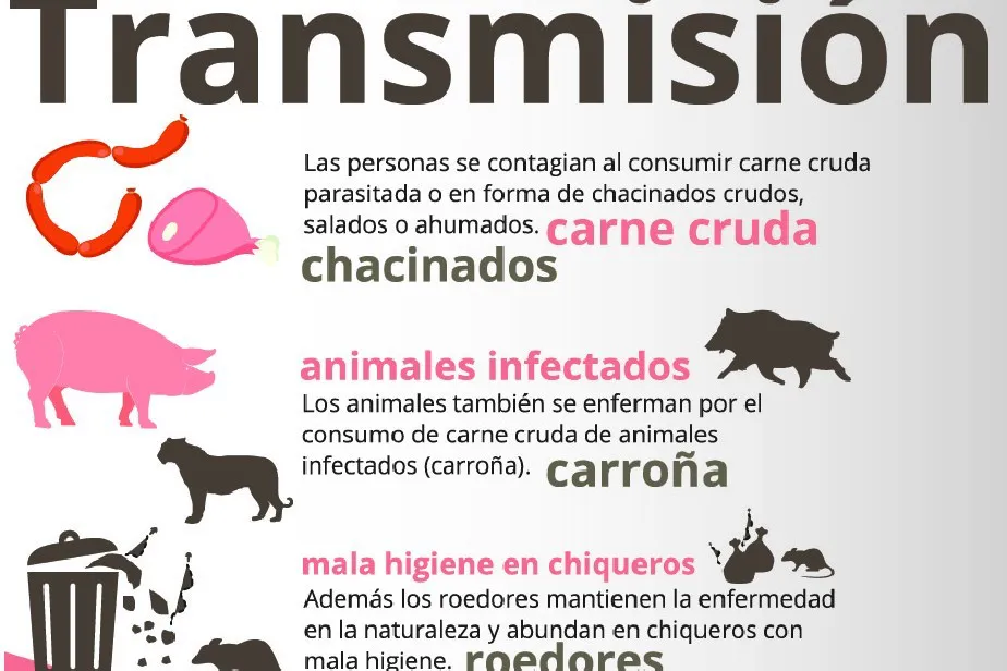 WhatsApp Image 2025-04-28 at 15.58.37