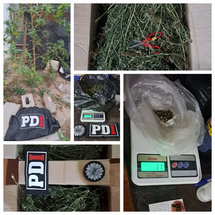 WhatsApp Image 2025-03-25 at 3.11.10 PM