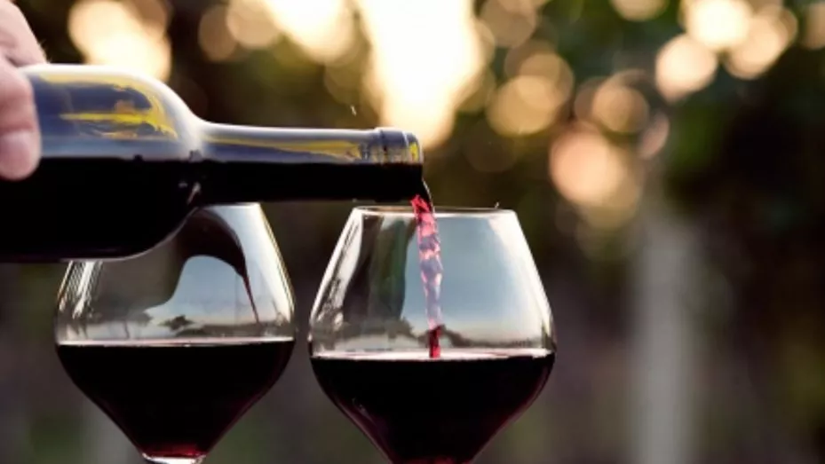 vino