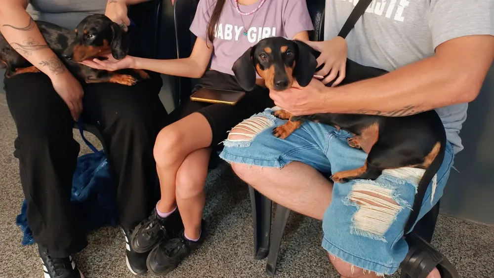 WhatsApp Image 2026-03-28 at 9.58.25 AM