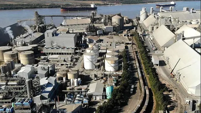 vicentin-planta-22jpg