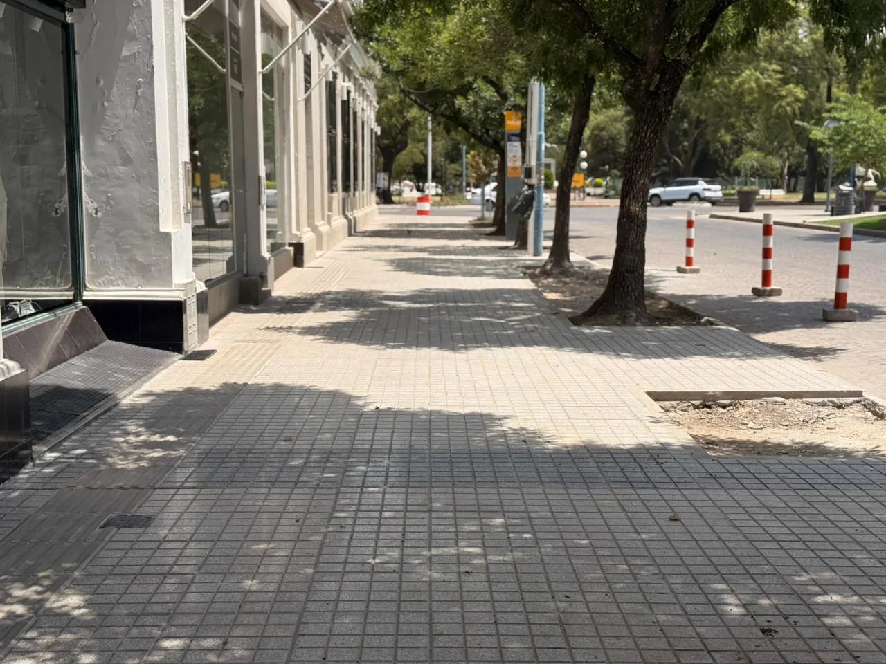 WhatsApp Image 2026-02-06 at 12.19.59 PM