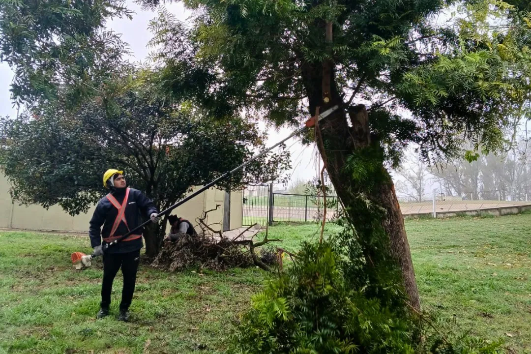 Imagen de WhatsApp 2025-09-03 a las 19.27.26_63bb6c82