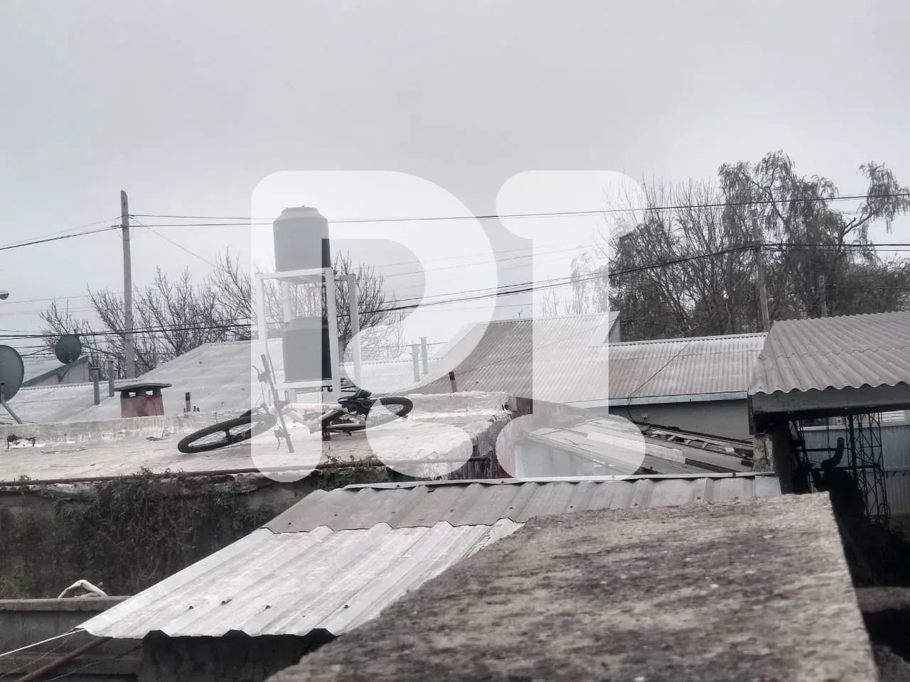 WhatsApp Image 2024-06-17 at 13.15.37