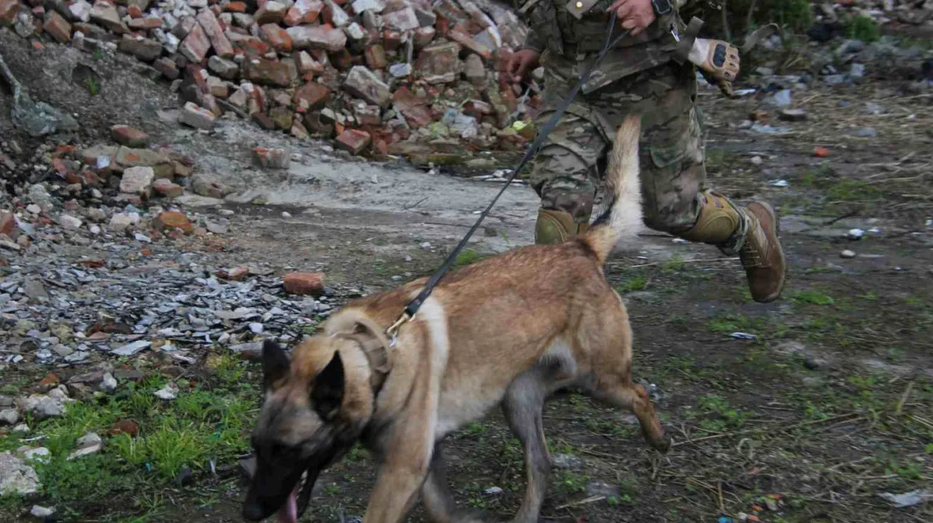 ea-k9-15