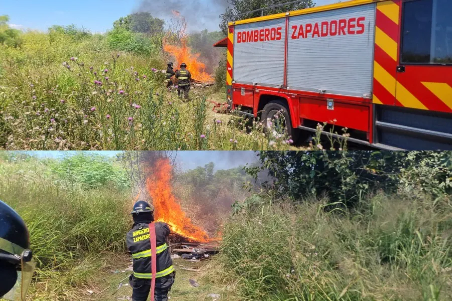 4aeaad9e-e0c4-4014-85d3-54afddac1fb9