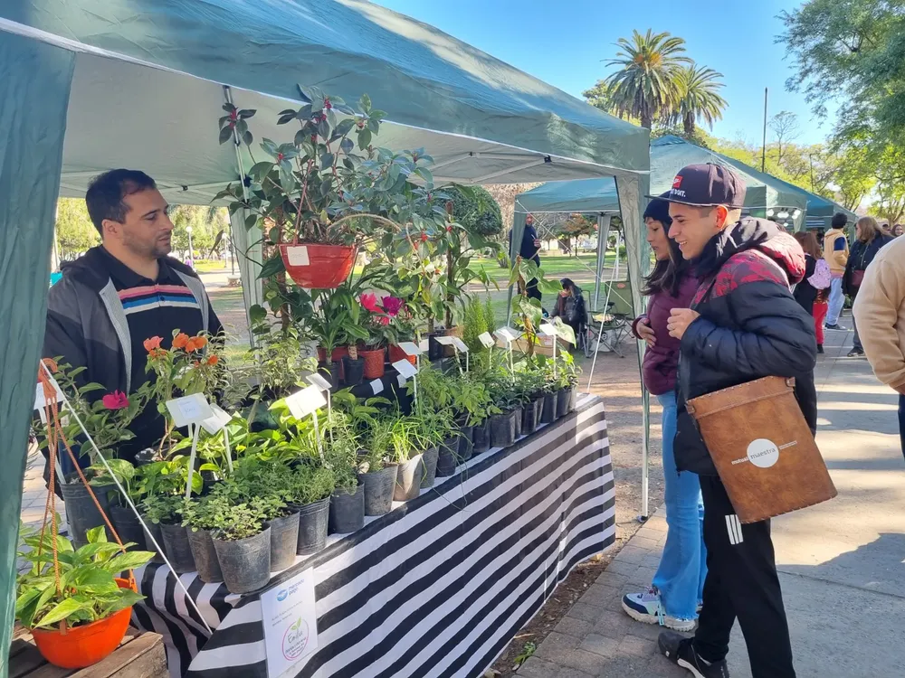 WhatsApp Image 2024-06-14 at 10.27.06