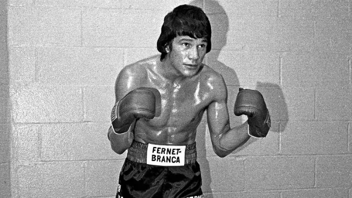 box_a_monzon_d2_800x450