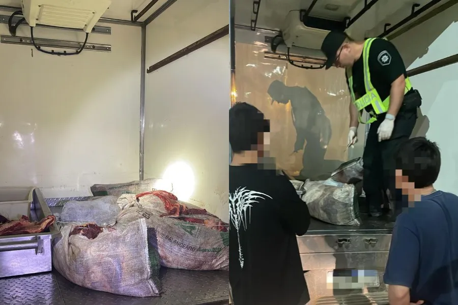 Imagen de WhatsApp 2025-12-10 a las 11.41.27_e09c5e51