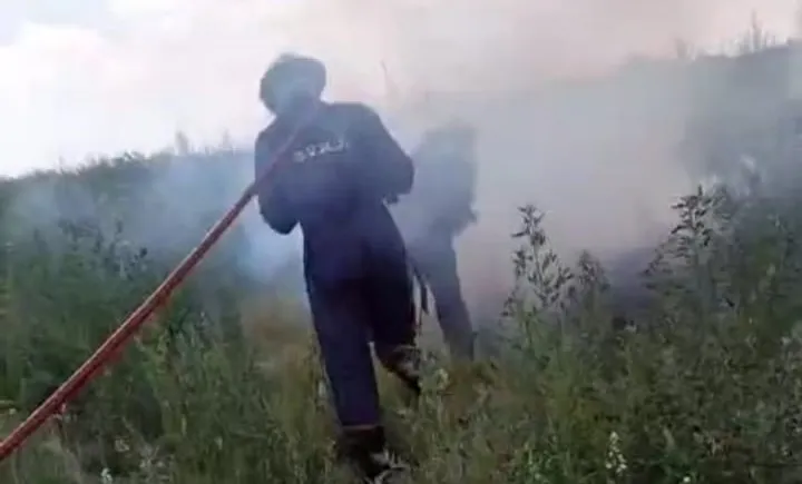 WhatsApp Image 2025-01-16 at 16.37.34