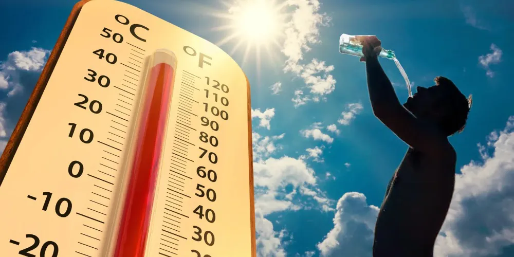 WhatsApp-Image-2023-11-22-at-8.30.15-AM