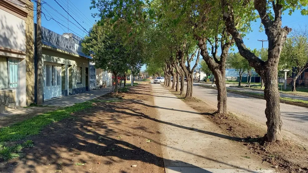 Imagen de WhatsApp 2025-08-26 a las 12.22.00_3a609083