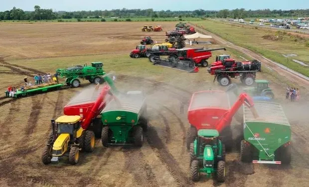 Imagen de WhatsApp 2025-12-07 a las 18.11.28_acc92218