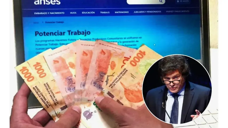 WhatsApp Image 2024-08-08 at 19.07.56