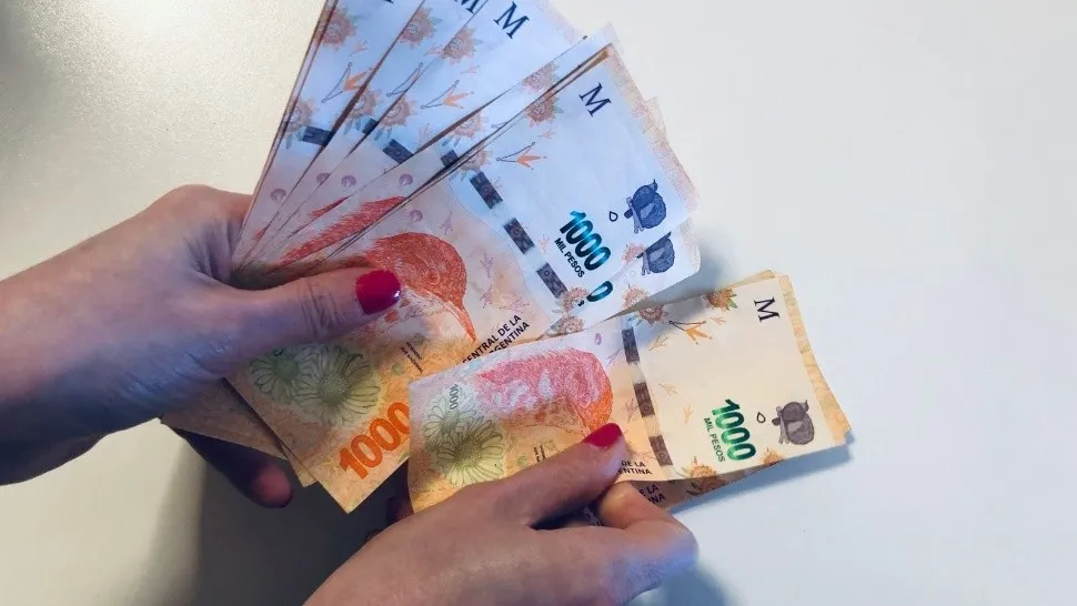 anses_bono_refuerzo_45_mil_1.jpg_100912916