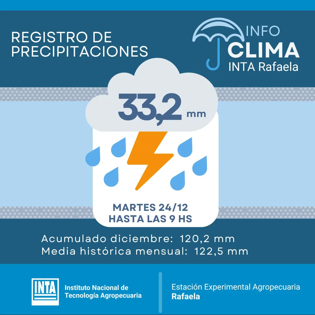 WhatsApp Image 2024-12-24 at 12.04.28