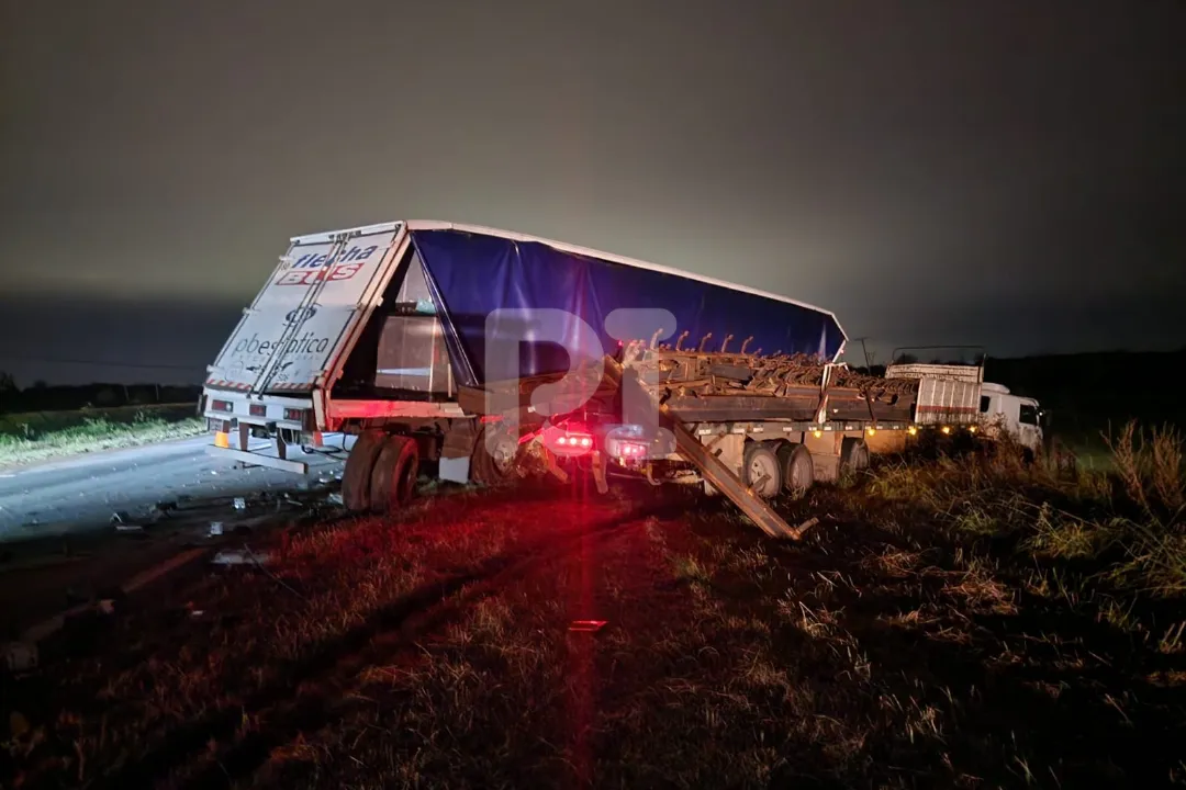 20250331_084401_0000