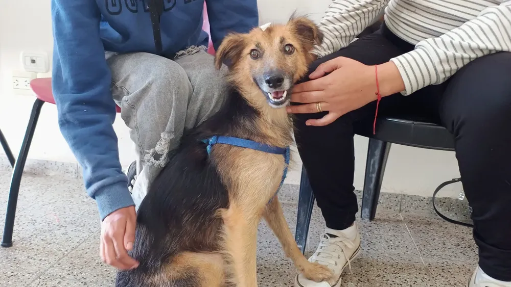 WhatsApp Image 2026-04-11 at 12.14.27 PM