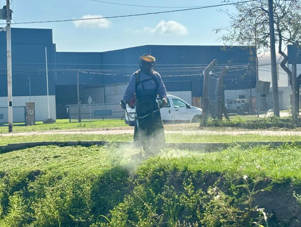 Imagen de WhatsApp 2025-11-26 a las 19.43.22_de5ebdf3