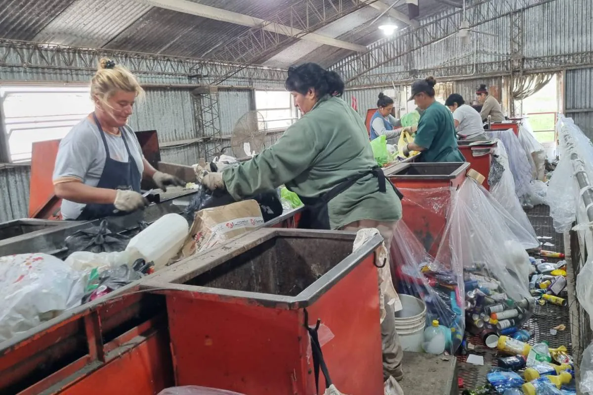 WhatsApp-Image-2025-03-01-at-14.08.16