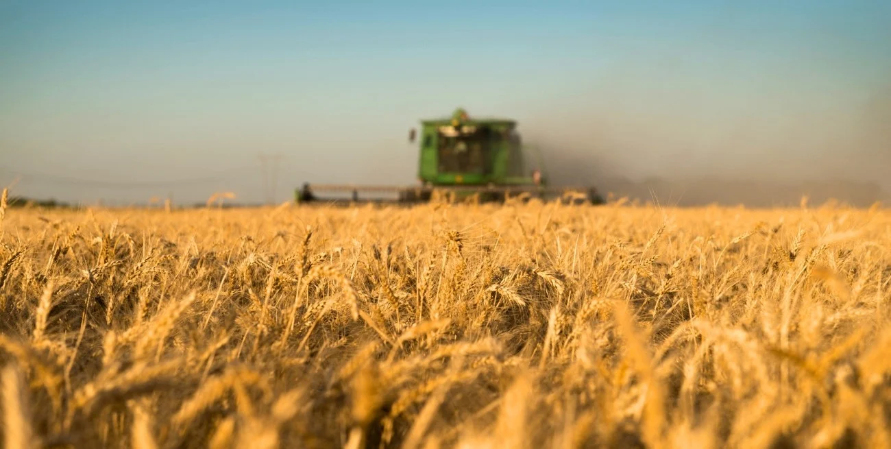 -8HRNcwVQ_1300x655__1