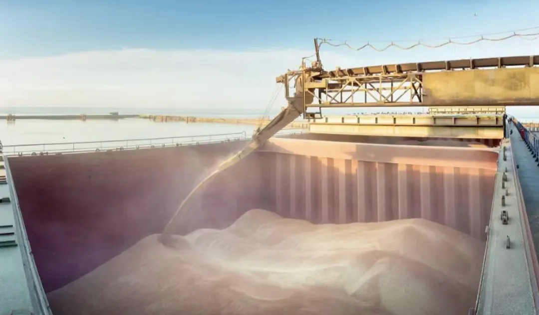 Screenshot_20240910_202042_Gallery