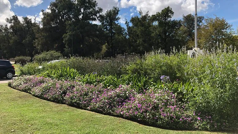 WhatsApp Image 2024-11-07 at 12.15.14 PM