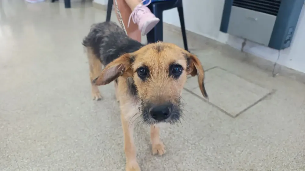 WhatsApp Image 2026-01-31 at 1.28.19 PM