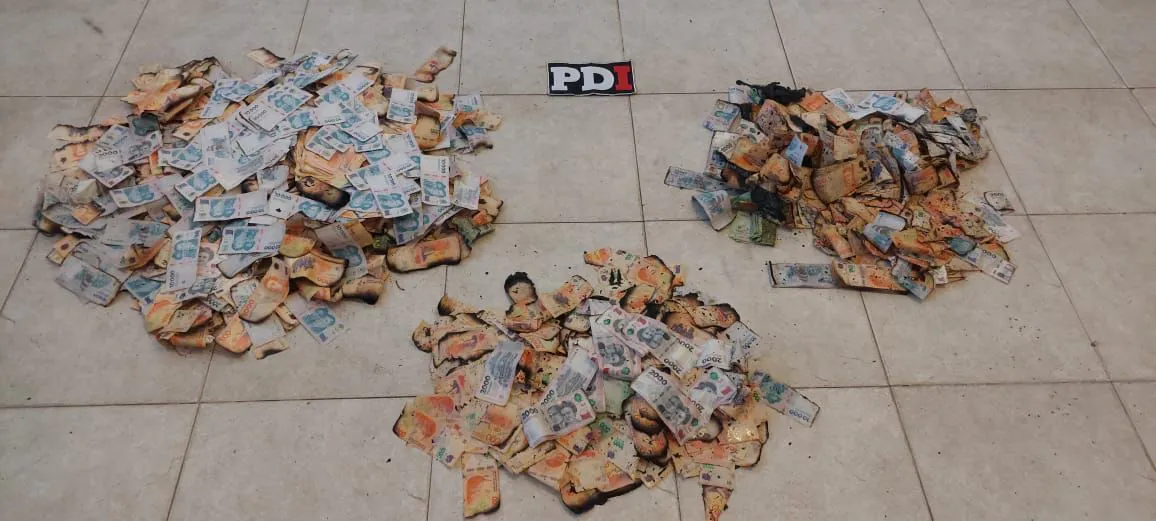 WhatsApp Image 2024-11-29 at 12.14.37 PM (1)