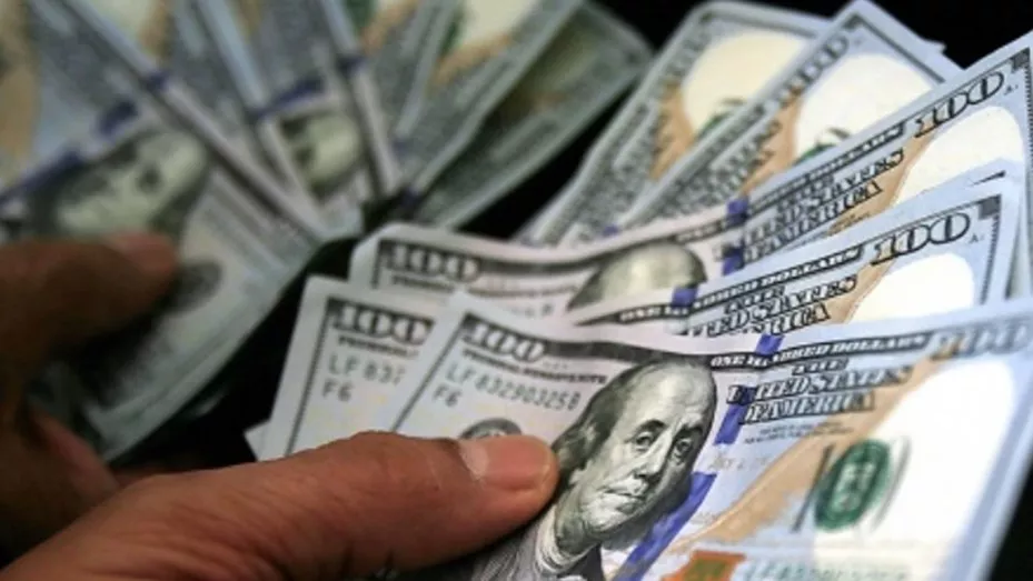 dolares