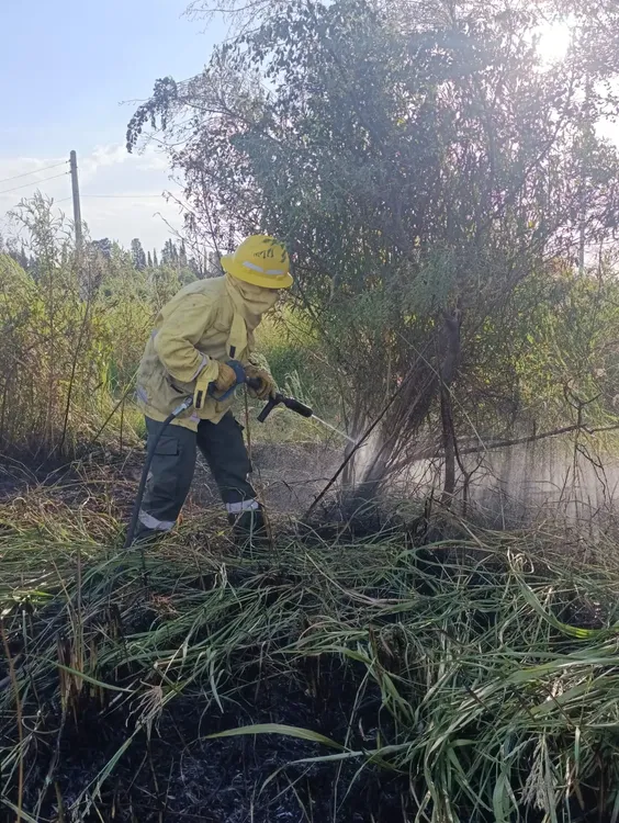 WhatsApp Image 2026-02-02 at 8.11.53 PM