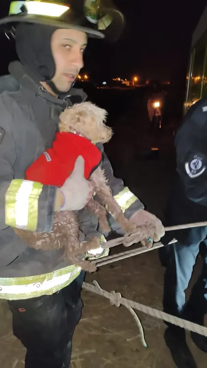 f5e6b1ca-dd03-458c-88e1-32f91ceba663