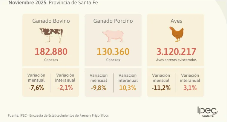 WhatsApp Image 2026-01-07 at 11.55.19 AM