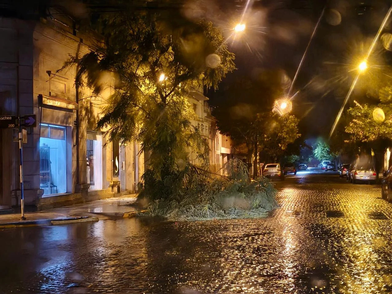 WhatsApp Image 2026-03-03 at 11.03.15 AM