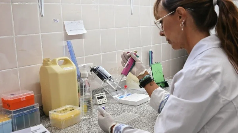 dengue.jpg_1756841869