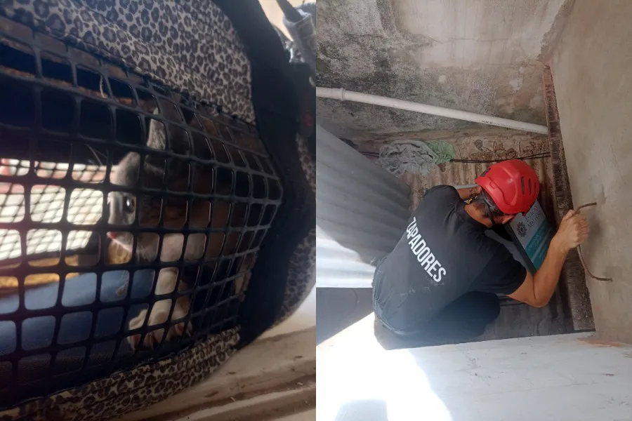 WhatsApp Image 2026-01-25 at 6.11.59 PM