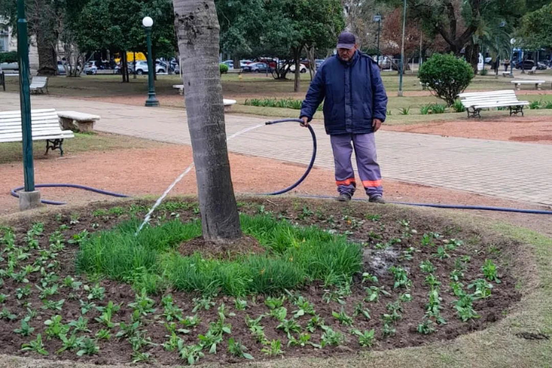 WhatsApp Image 2025-06-18 at 19.18.33