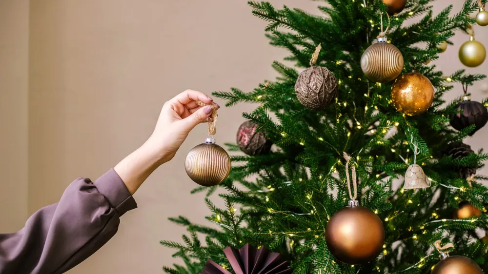 Arbol