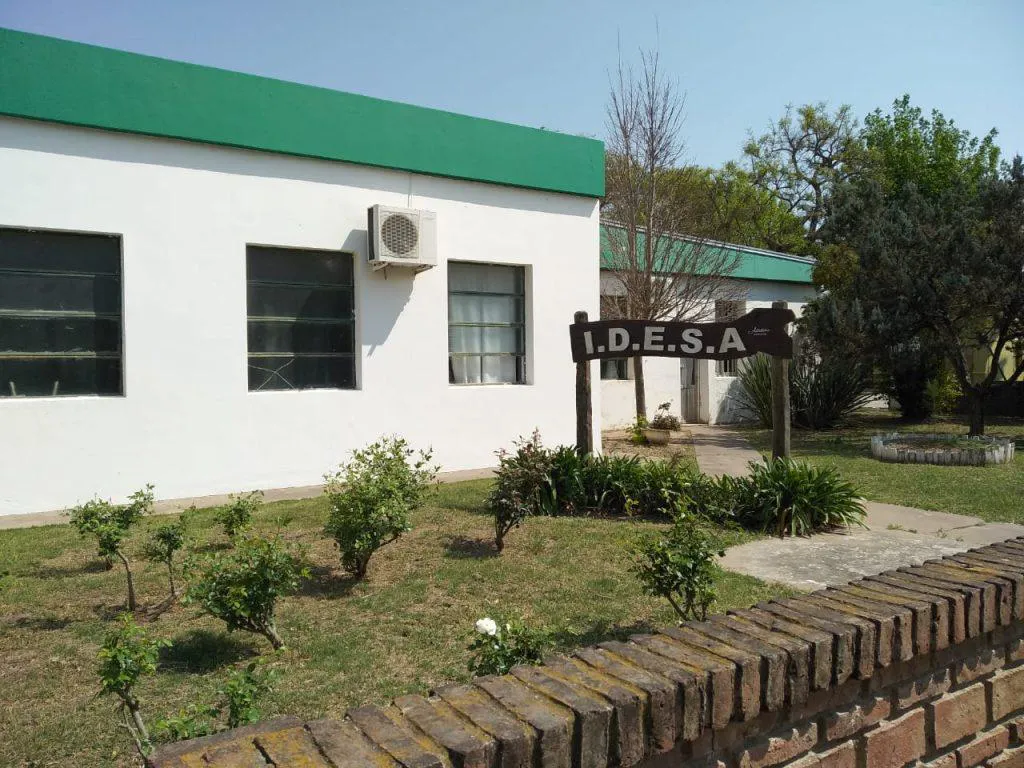 WhatsApp Image 2024-10-08 at 09.45.47