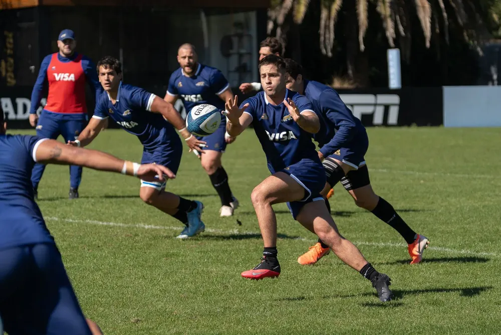 pumas