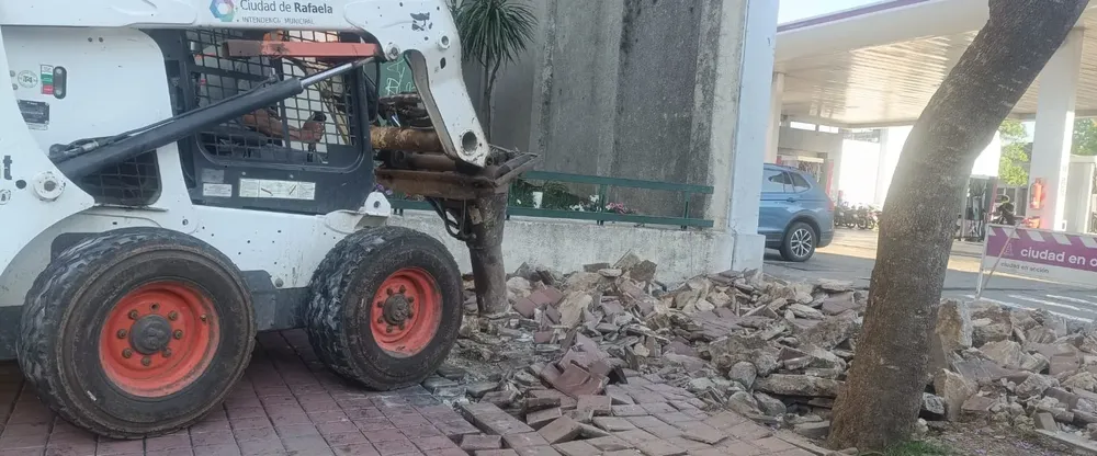 WhatsApp Image 2024-10-21 at 08.25.46