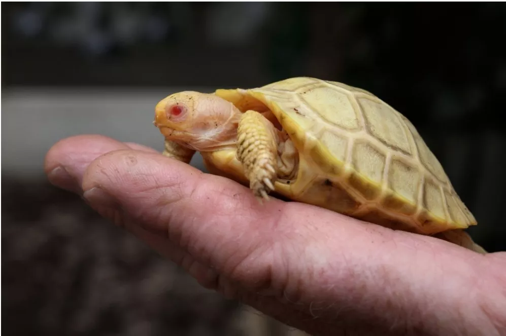 Screenshot_20220604-221717_Facebook