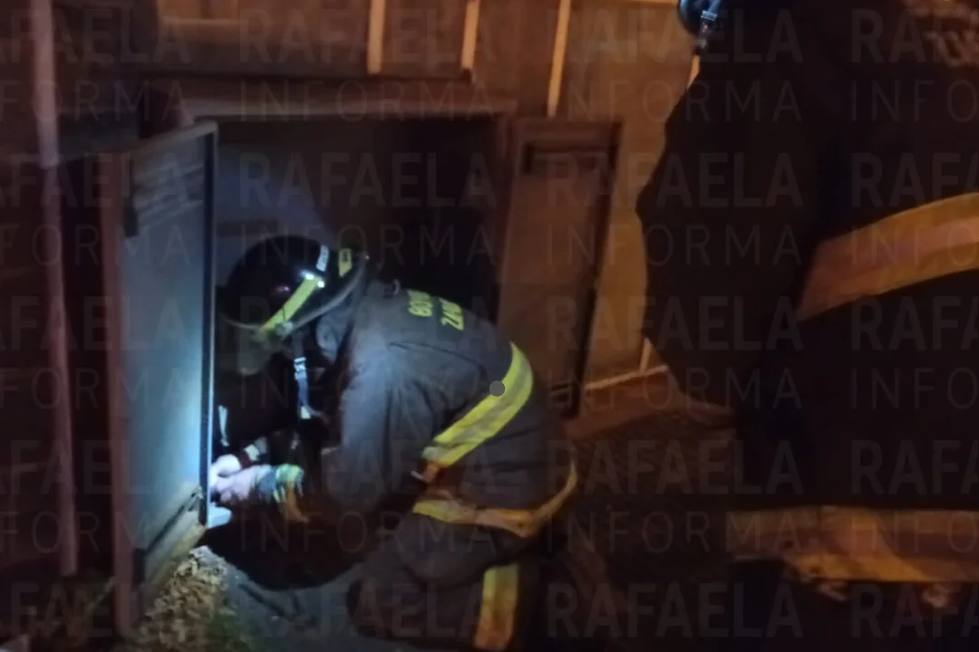 foto para portal