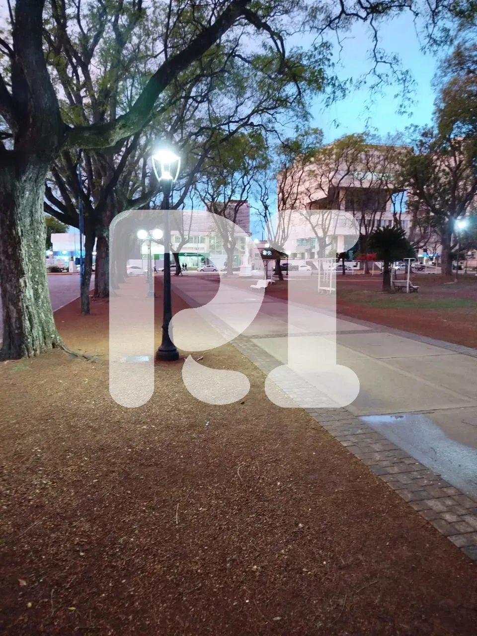 WhatsApp Image 2024-10-22 at 08.53.06