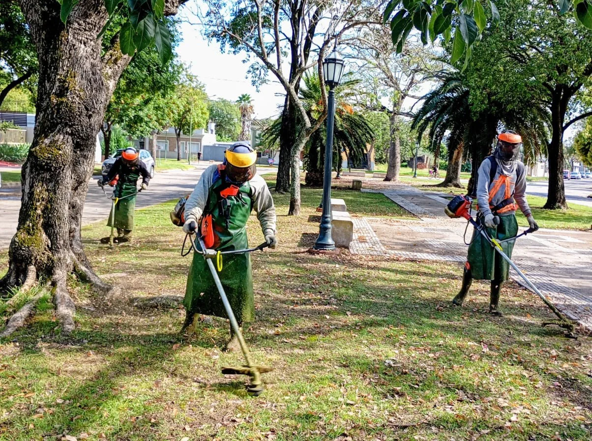 WhatsApp Image 2026-03-04 at 4.13.40 PM