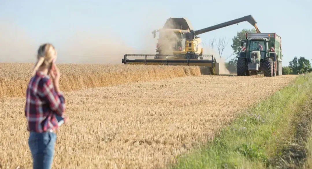 Screenshot_20240827_071149_Gallery