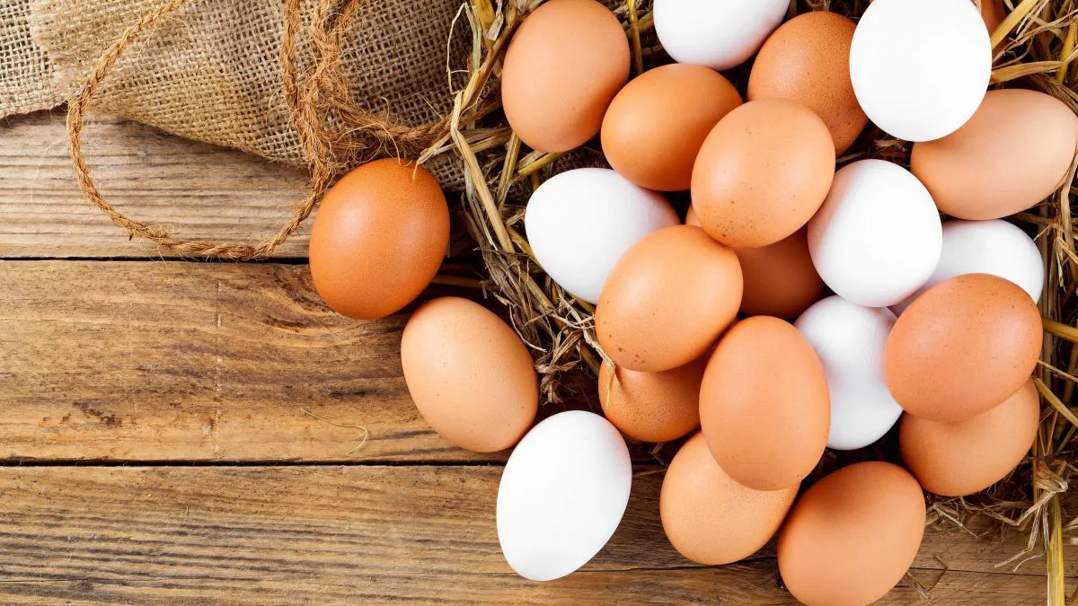 huevos