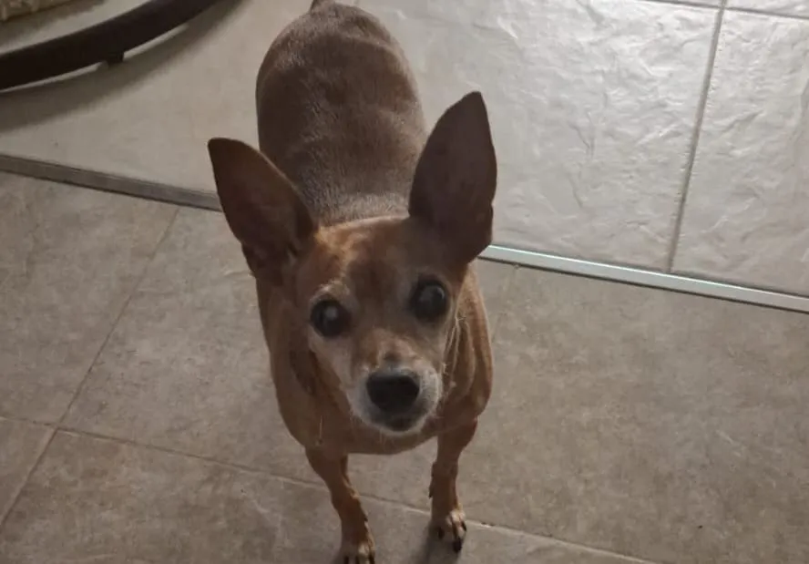 WhatsApp Image 2026-01-07 at 9.46.35 AM