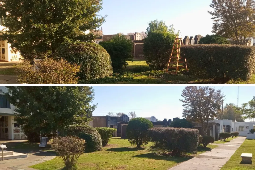 Una ciudad más limpia (2)