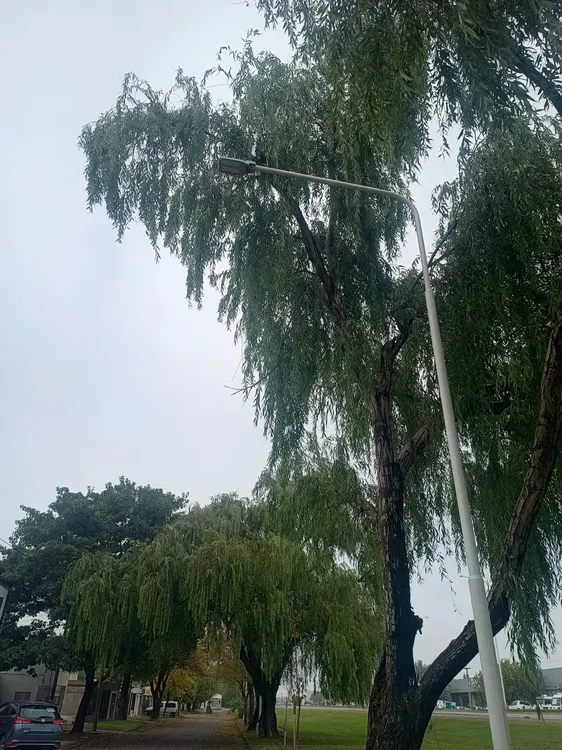 WhatsApp Image 2025-05-05 at 8.13.45 PM (1)